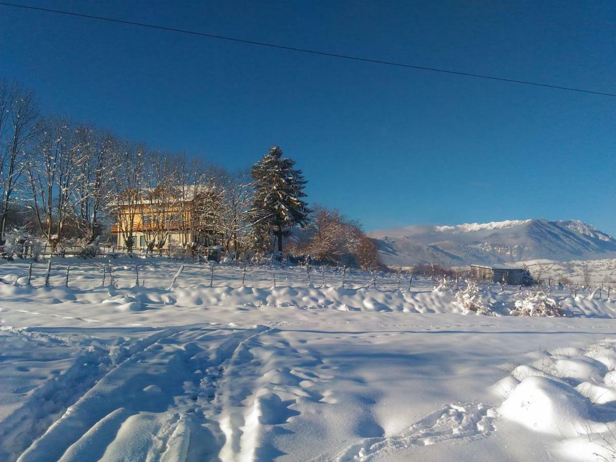 Vila Rem Бран Экстерьер фото